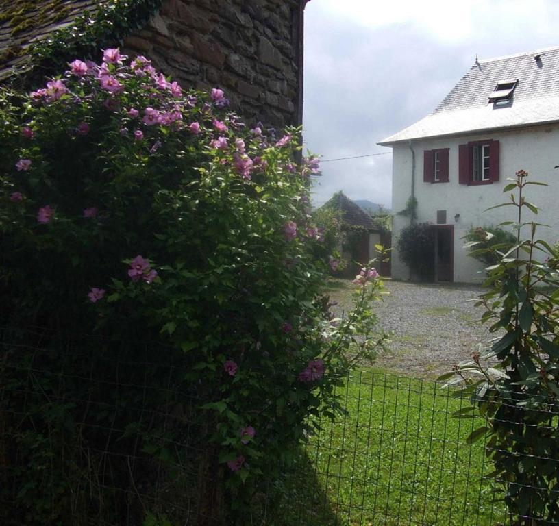Chambres D'Hotes Maison Paillet Montory Eksteriør billede
